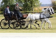 XI. Búcsúi Fogathajtó Verseny Gencsapátiban (júl. 30.)