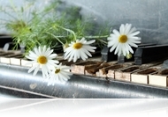 KOMPART: ÉrtékTár