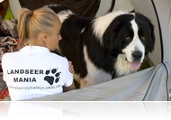 CACIB Nemzetközi Kutyakiállítás az Arborétum sportcentrumban