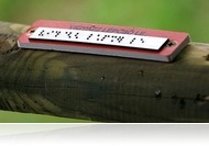 Híres látássérült emberek: Louis Braille