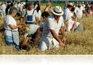 Húsz éves a Büki Ünnepi Napok - Aratóünnep szombaton