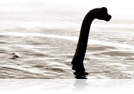 A Loch Ness-i szörny egy hatalmas angolna lehet a tudósok szerint