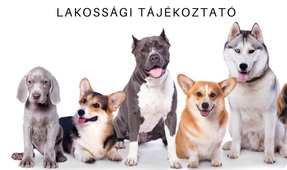 Ebösszeírás 2026 Szombathelyen - Itt vannak a részletek