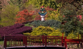 A nyugalom szigete - Japánkertet és hidat avattak a Kámoni Arborétumban